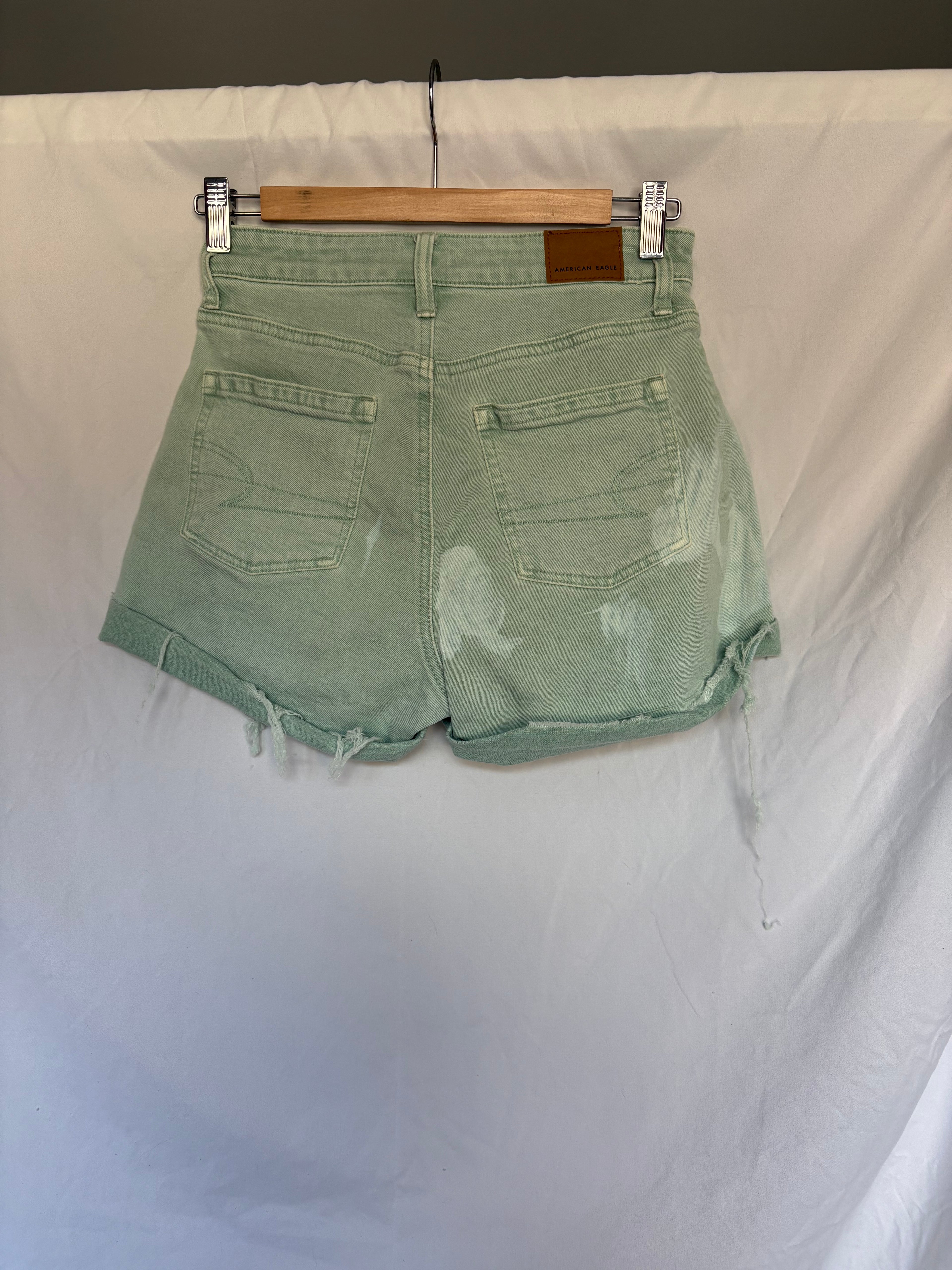 American Eagle Mint Shorts